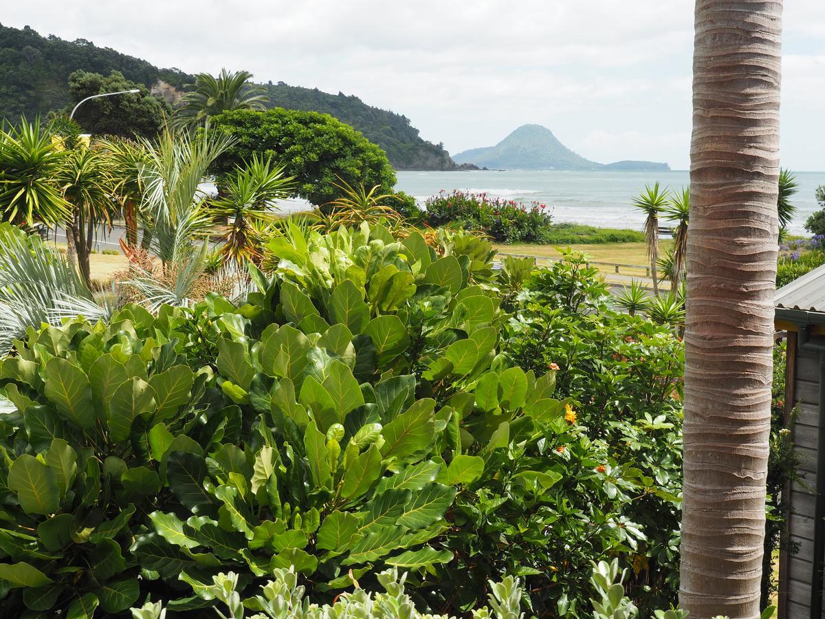 Ocean View Aparthotel Ohope Exterior photo